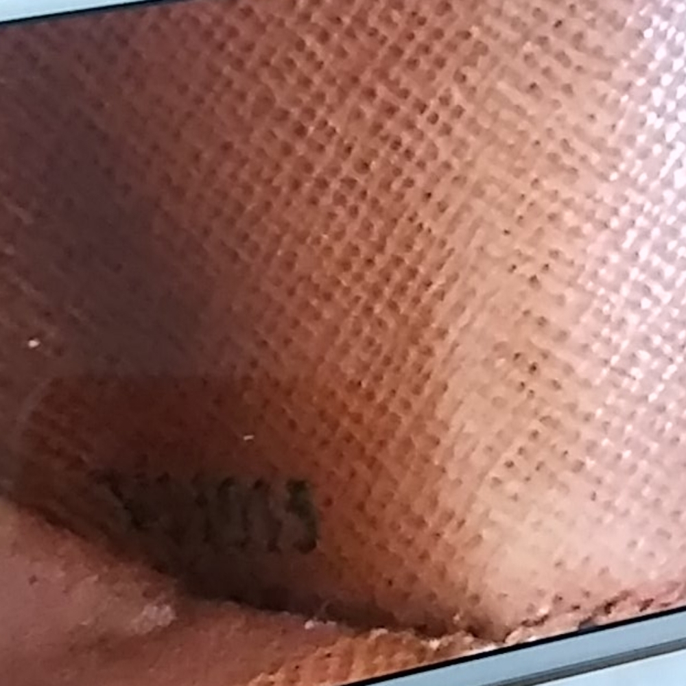 SOLD. 💕Authentic Louis Vuitton Monogram Zippy Wallet - Picture 12 of 16